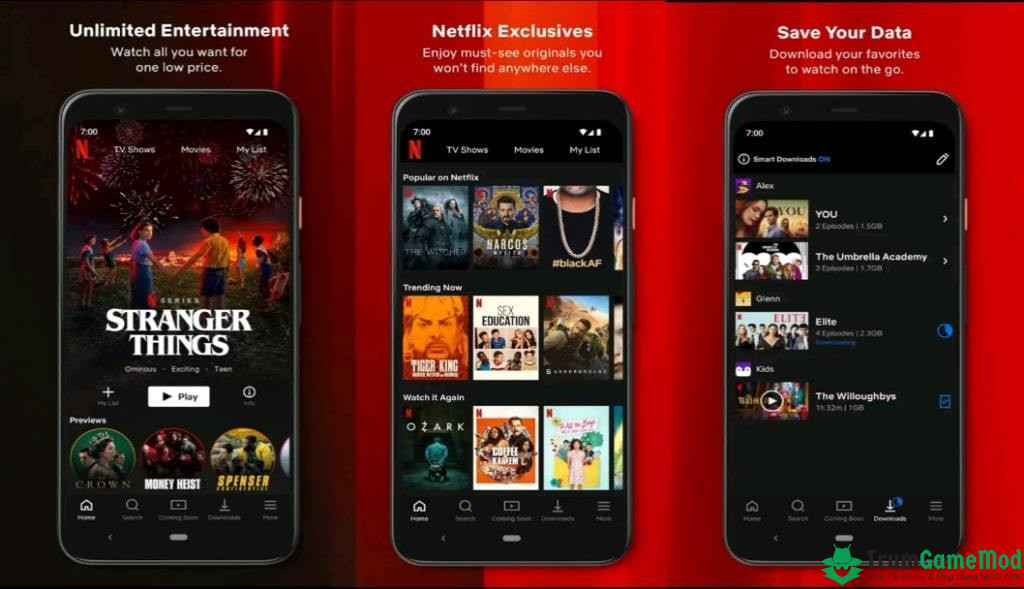 netflix mod 5 Netflix