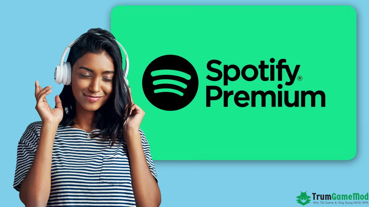 spotify premium apk 3 Spotify