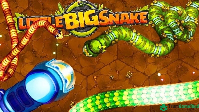 little big snake 2 1 Little Big Snake