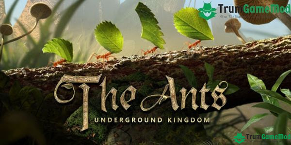 The Ants Underground Kingdom