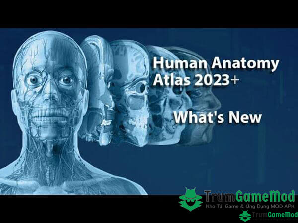 Human-Anatomy-Atlas-2023-mod-1