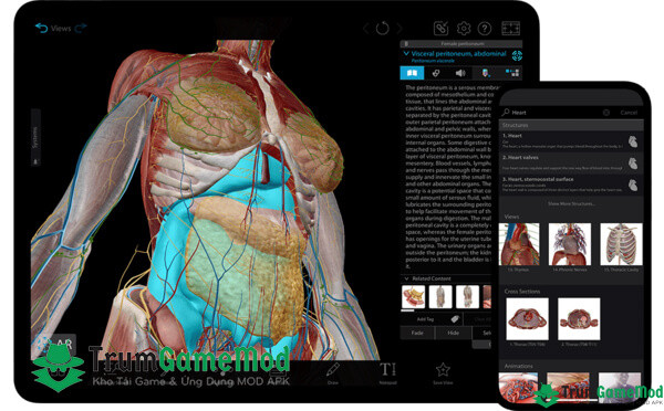 Human-Anatomy-Atlas-2023-mod-2