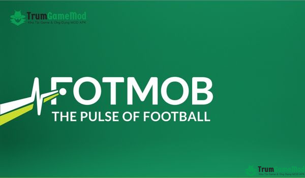 FotMob - “trợ thủ” đắc lực cho những fan hâm mộ bóng đá