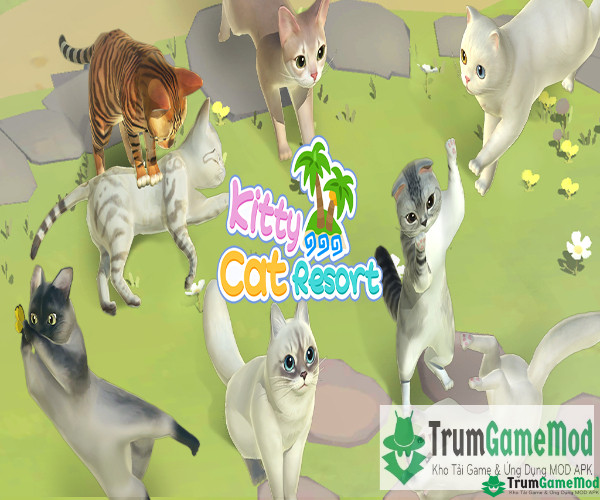 Kitty Cat Resort MOD cho phép bạn có xây dựng một hòn đảo nghỉ dưỡng cho thú cưng 