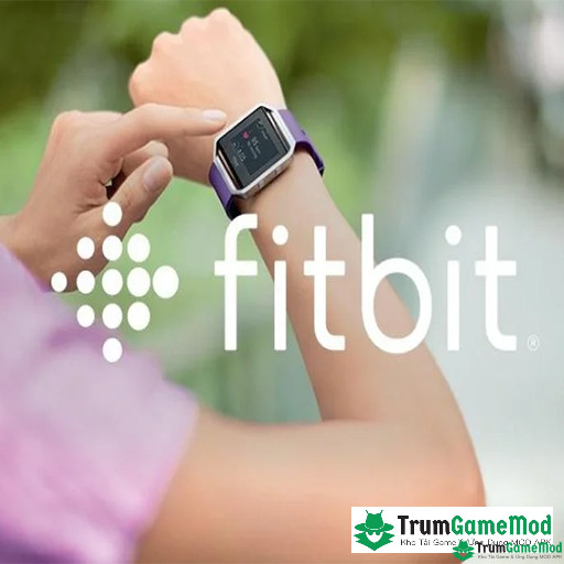 4 Fitbit logo Fitbit