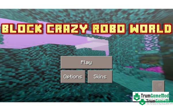 Block Crazy Robo World 