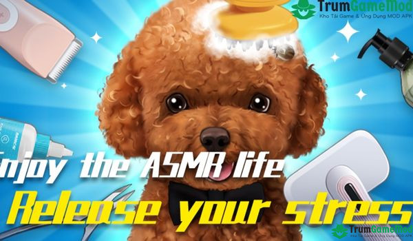Tựa game ASMR hàng đầu thế giới