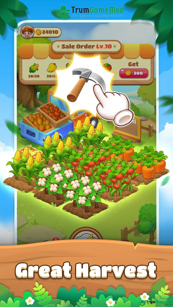 Sunny-Farm-1