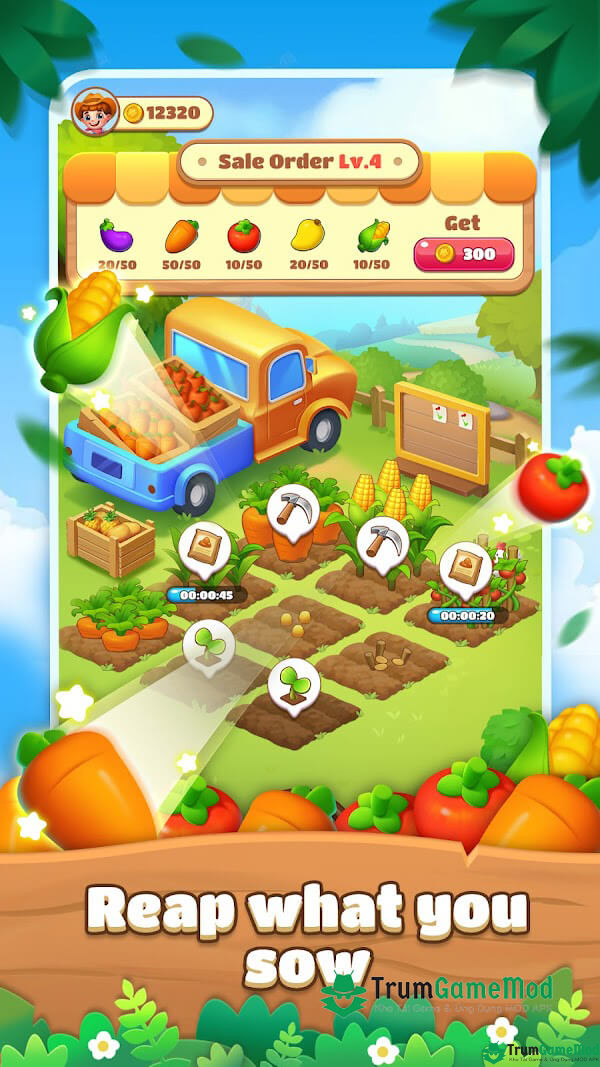 Sunny-Farm-2