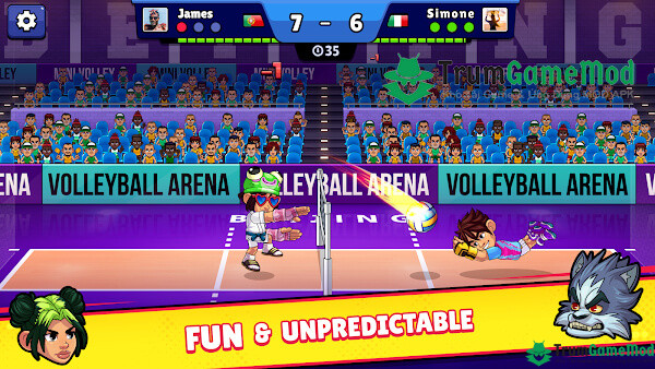 Volleyball-Arena-2