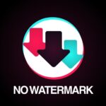 Tải Snaptik App: Ứng Dụng Tải Video Tiktok Không Logo v4.13