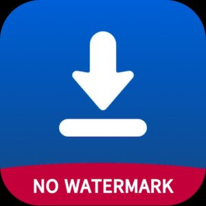 Download SnapSave App v1.0.3 Miễn Phí