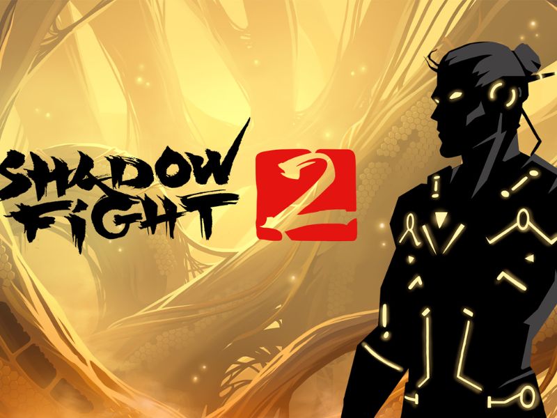 Một Số Thông Tin Về Hack Shadow Fight 2