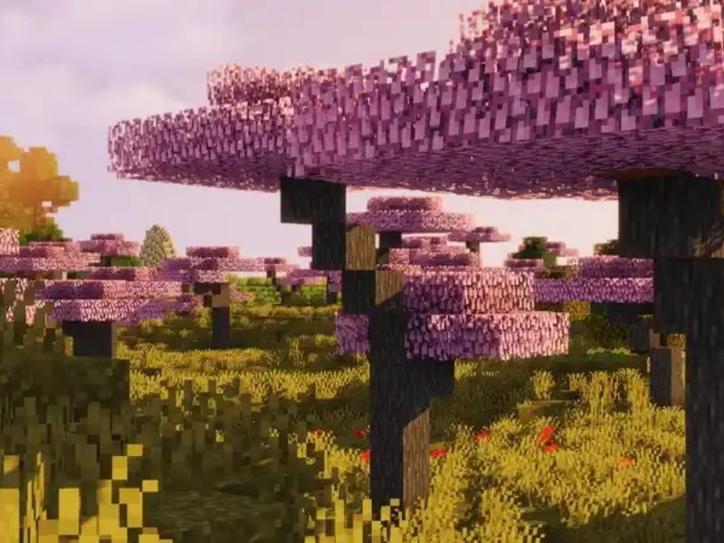 Khu rừng anh đào tuyệt đẹp trong Minecraft Modpure 1.20 Tiếng Việt