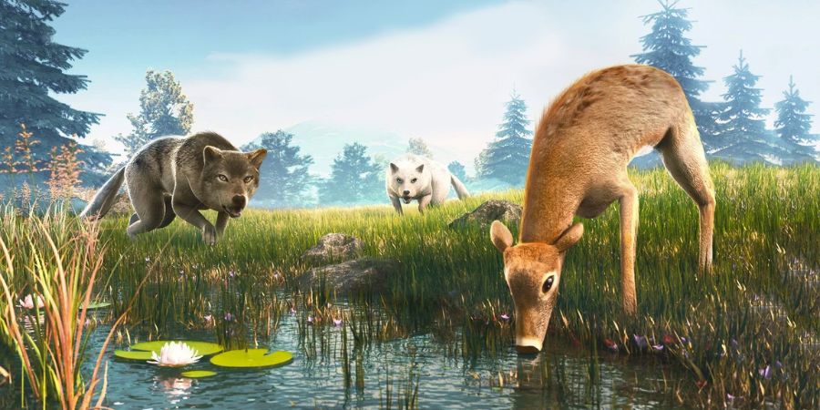 banner Hack The Wolf 1
