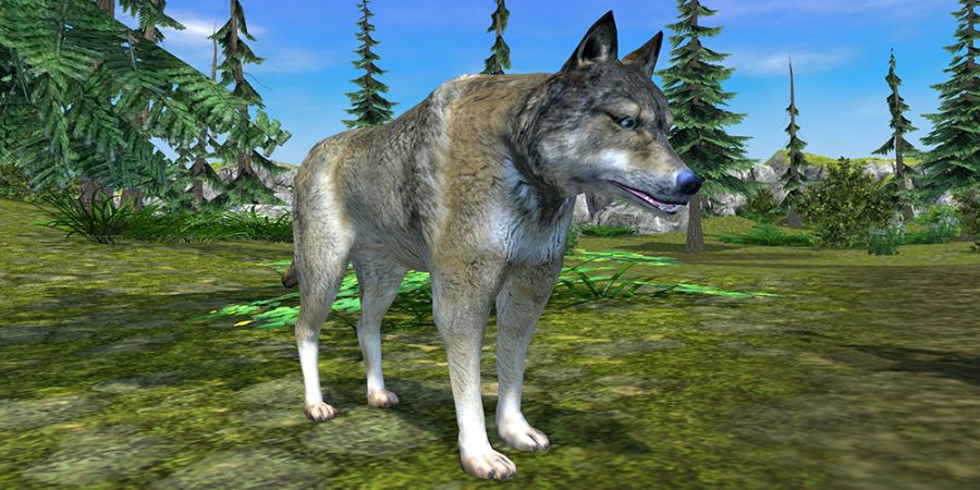 Tải Hack The Wolf (Vô Hạn Tiền, Mua Sắm Miễn Phí) v4.5.1