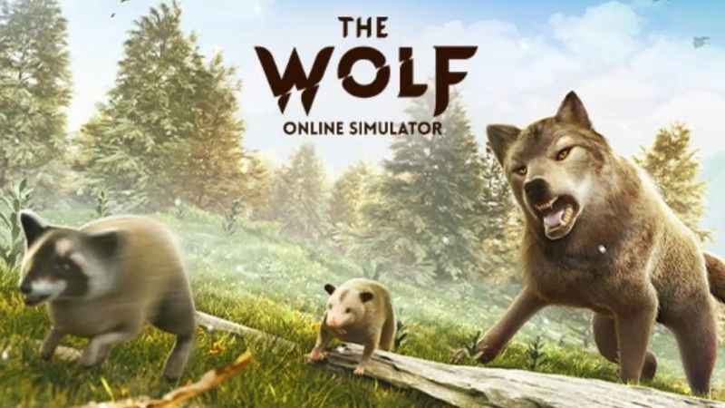 Đôi Nét Về Hack The Wolf