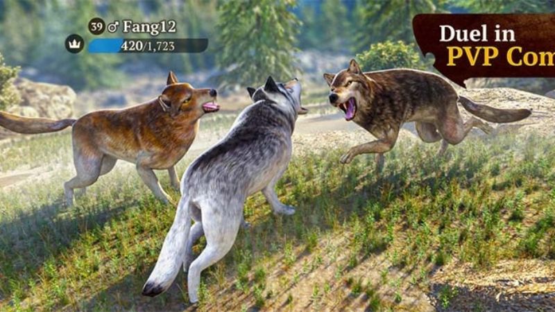 Kết Nối Và Săn Bắt Cùng Người Chơi Khác Trong Hack The Wolf