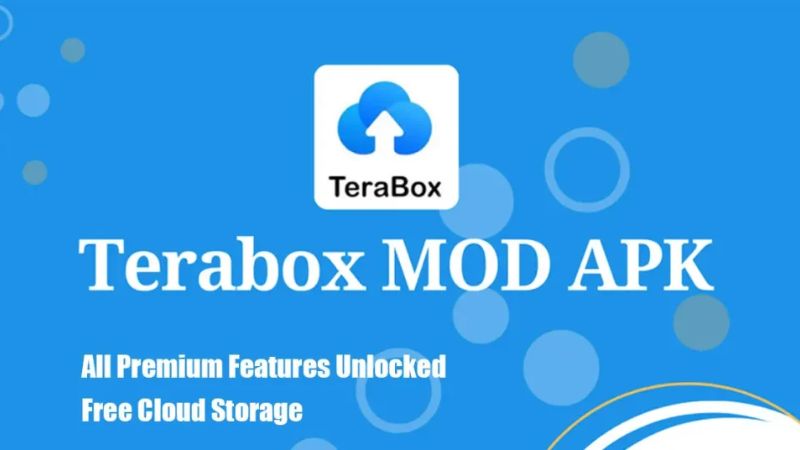 Điểm Đột Phá Trong Bản TeraBox Mod APK