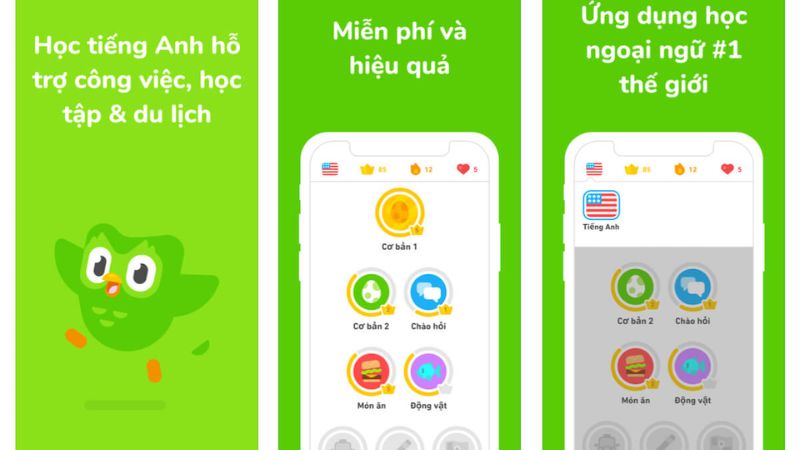 Những Điều Cần Lưu Ý Khi Tải Xuống Bản Chỉnh Sửa